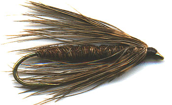 The Fly Fishing Patterns of British Columbia